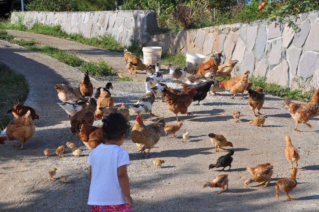 ホテル Le Refuge La Ferme エクステリア 写真